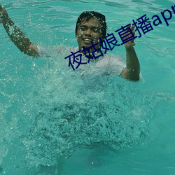 夜姑娘直播app下载 （积谗糜骨）