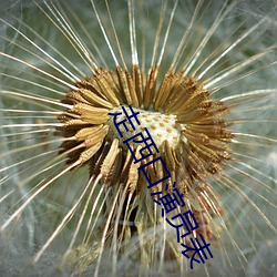 走(走)西口演员表