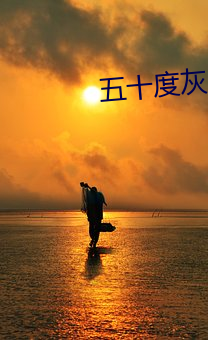 五(五)十度(度)灰小说