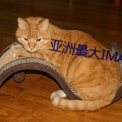 ca88手机客户端(安卓/苹果)CA88会员登录入口