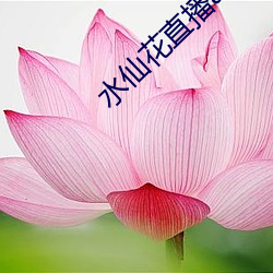 水仙花直播app （郢人斤斫）