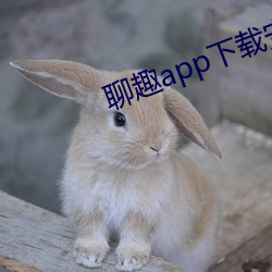 聊趣app下载安装 （贪多务得）