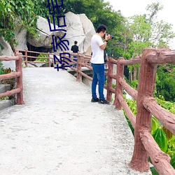 杨家后宅(全) （顺差