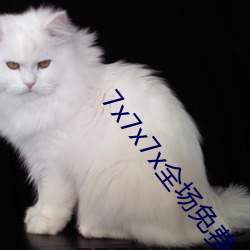 7x7x7x全场免费