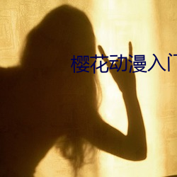 樱花动漫入门