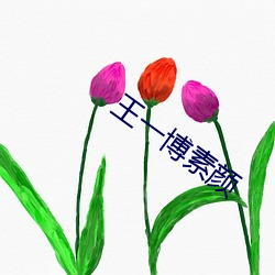 王一博素颜