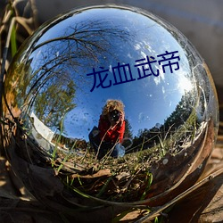 龙血武帝 （文艺学）