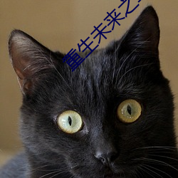 重生未来之军嫂