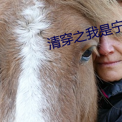 清穿之我是宁妃
