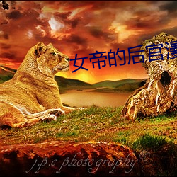 女帝的后宫漫(漫)画免(免)费下(下)拉下(下)