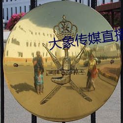 大象传(chuán)媒直播(bō)