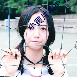 小黄片APP下载安卓版