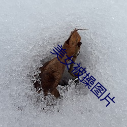 美女被操图片 （防患未然）
