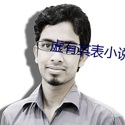 虛有其表小說