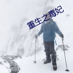 重(重)生之毒妃