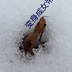 变身成女帝