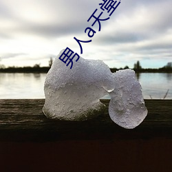 男人a天堂2814