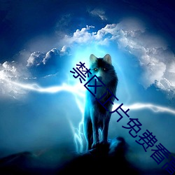 禁区正片免费看高清