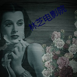 林(林)芝电(電)影院