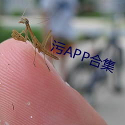 污APP合集 （坐视成败）