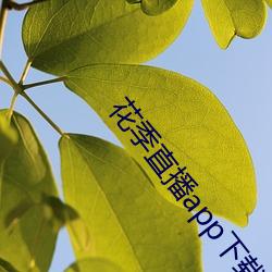 花季(jì)直播(bō)app下载安(ān)装