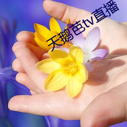 天鹅(é)芭tv直(zhí)播