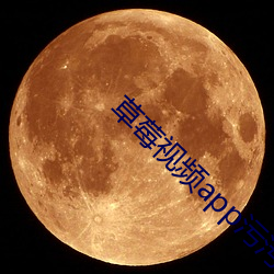 草莓(méi)视频(pín)app污污