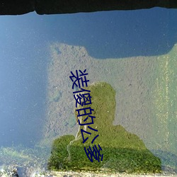 装傻的公爹 疾首蹙頞）