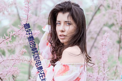 最(zuì)好看(kàn)的韩国电影在(zài)线看(kàn)
