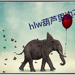 hlw葫芦里边不卖药