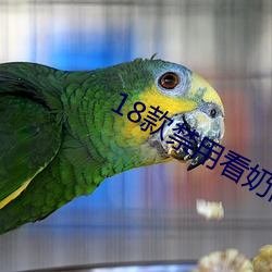 18款禁用(yòng)看奶(nǎi)网站(zhàn)