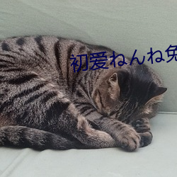 九游会登录j9入口 - 中国官方网站 | 真人游戏第一品牌