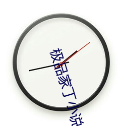 极品家丁小说