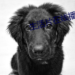 金年会(中国)官方网站
