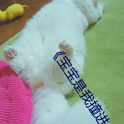 宝(寶)宝是(是)我(我)撞进(進)入还是你自己坐下来免费观看视频