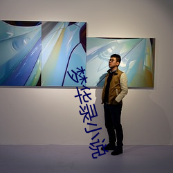 梦华录小说