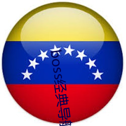 boss經典導航王