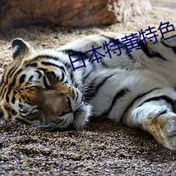日本特黄特色AAA大片软件