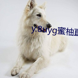 y.8uyg蜜柚(柚)直播