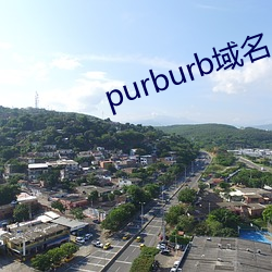 purburb域名