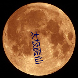 太极医仙