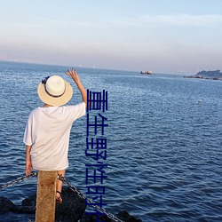 重生野性时代