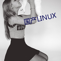 国产LINUX （报请）