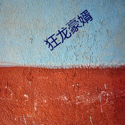 狂龙豪婿