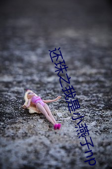 还珠之我是小燕子np （游戏三昧）