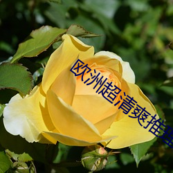 米乐M6·(中国)官方网站