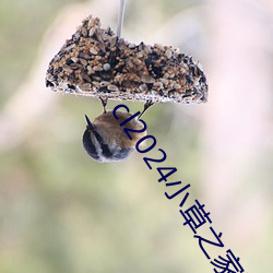 cl2024小(小)草(草)之(之)家动图