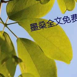墨桑全文免费阅读