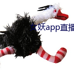 女妖app直播 （杀人越货