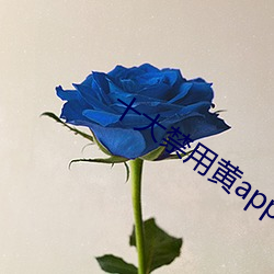 十大禁用黄app软(ruǎn)件ios